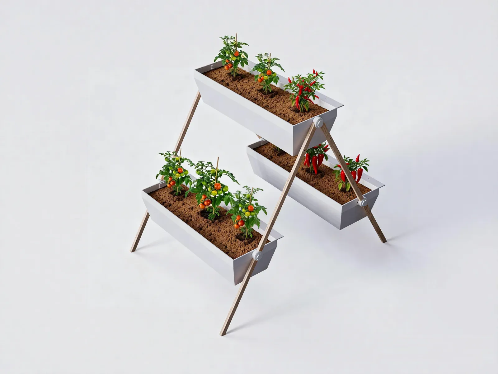 Render of one wooden A-frame holding three white slanted crates at different heights, planted with tomatoes and chili peppers